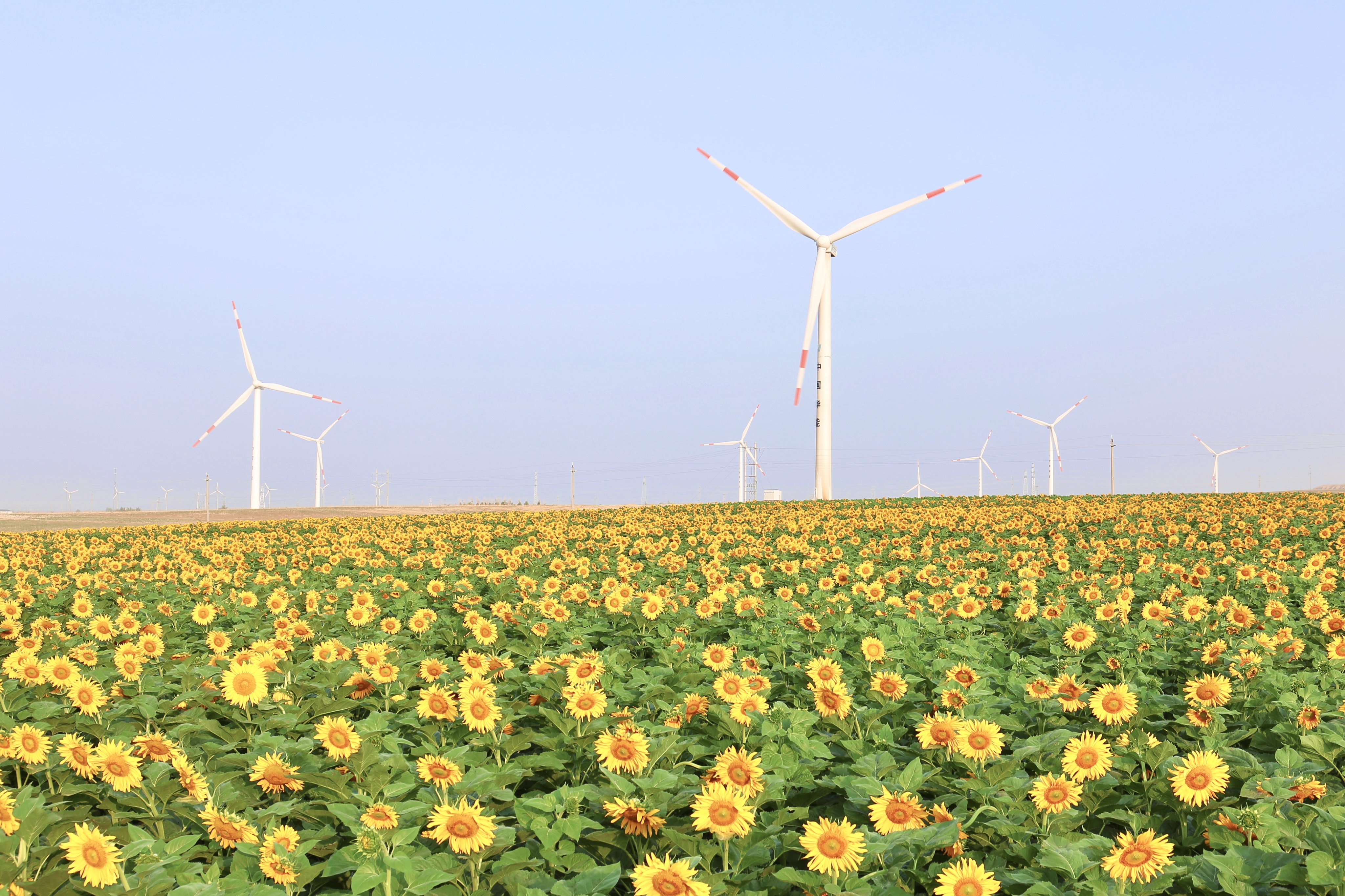 J9.COM股份助力推动风电场节造技术国际研发项目顺利执行